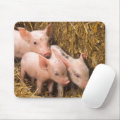 Ferkel Mousepad (Mit Mouse)