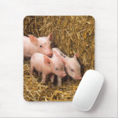 Ferkel Mousepad (Mit Mouse)