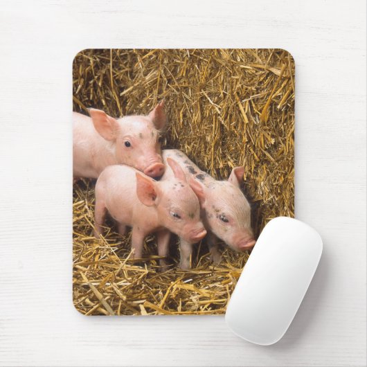 Ferkel Mousepad (Mit Mouse)