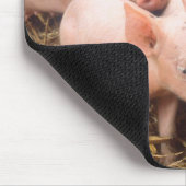 Ferkel Mousepad (Ecke)