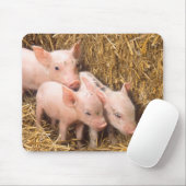 Ferkel Mousepad (Mit Mouse)