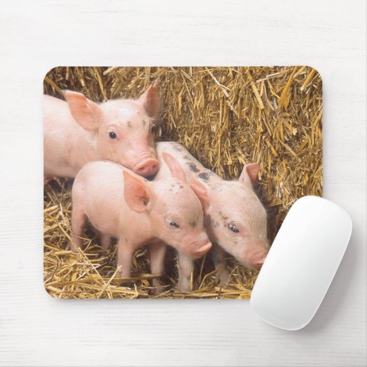 Ferkel Mousepad (Mit Mouse)