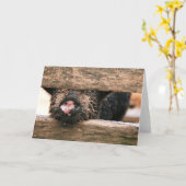 Ferkel-Nasen-Gruß-Karte - löschen Sie nach innen Karte (Gelbe Blume)