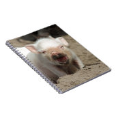 Ferkel Notizblock (Rechte Seite)