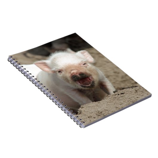 Ferkel Notizblock (Rechte Seite)