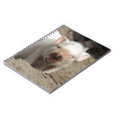 Ferkel Notizblock (Linke Seite)