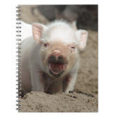 Ferkel Notizblock (Vorderseite)