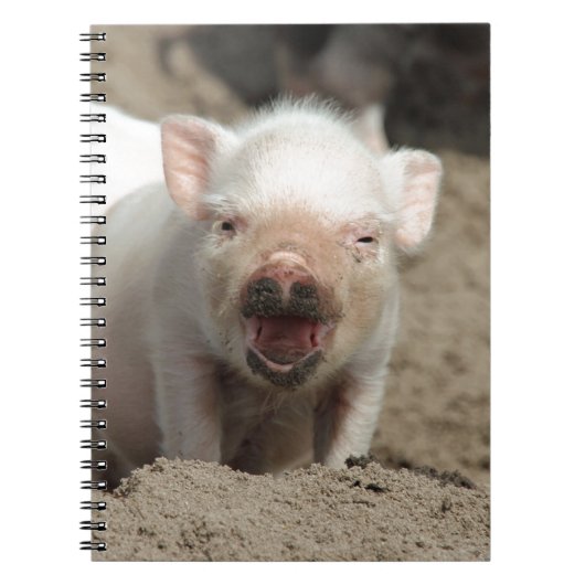 Ferkel Notizblock (Vorderseite)