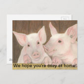 Ferkel Postkarte (Vorne/Hinten)