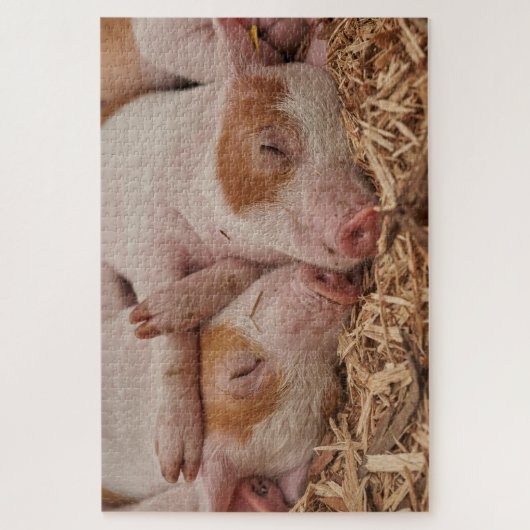 Ferkel Puzzle (Vertikal)