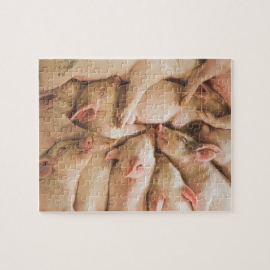 Ferkel-Puzzlespiel Puzzle (Horizontal)