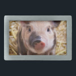 Ferkel Rechteckige Gürtelschnalle<br><div class="desc">addieren Sie Text oder laden Sie Ihr eigenes Bild</div>