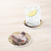 Ferkel Sandstein Untersetzer (Seite)