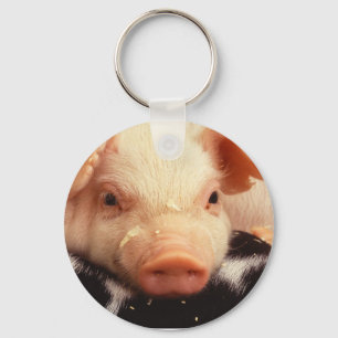 Ferkel-Schwein-entzückende Gesichts-Schnauze Schlüsselanhänger