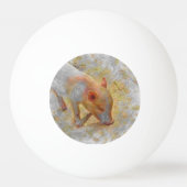 Ferkel Tischtennisball (Vorderseite)