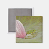 Ferkel und Lotus, Blume, China, Magnet (Vorderseite/Rückseite)