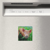 Ferkelkauen-Grasmagnet Magnet (In Situ (Geschirrspüler))