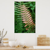 FERN 1 POSTER (Küche)