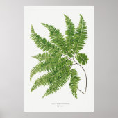 Fern. 2 poster (Vorne)