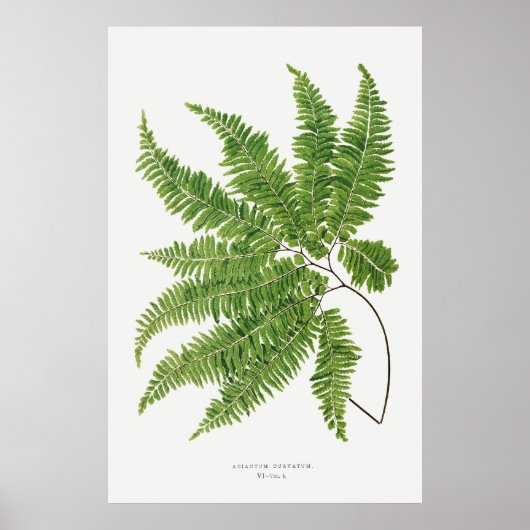 Fern. 2 poster (Vorne)