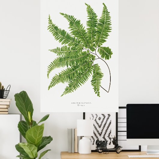 Fern. 2 poster (Heimbüro)