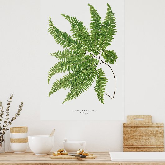 Fern. 2 poster (Küche)