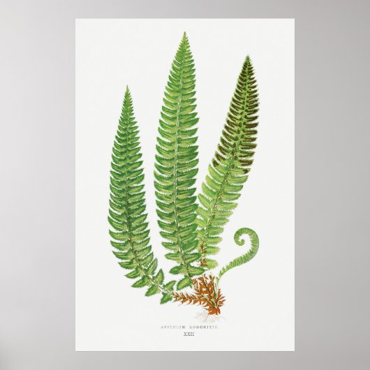 Fern. 3 poster (Vorne)