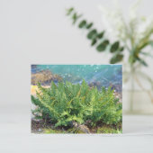 Fern am Meer Postkarte (Stehend Vorderseite)