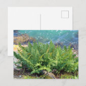 Fern am Meer Postkarte (Vorne/Hinten)