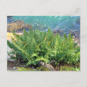 Fern am Meer Postkarte
