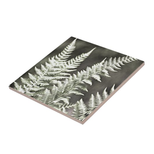 Fern Artistic Abstrakt Fliese (Seite)