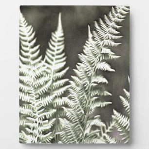 Fern Artistic Abstrakt Fotoplatte