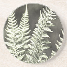 Fern Artistic Abstrakt
