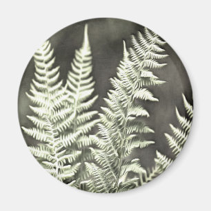 Fern Artistic Abstrakt Magnet