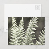 Fern Artistic Abstrakt Postkarte (Vorne/Hinten)
