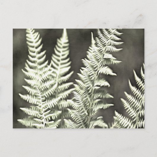 Fern Artistic Abstrakt Postkarte (Vorderseite)