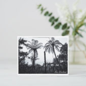 Fern-Baumwald, Natur, Neuseeland Postkarte (Stehend Vorderseite)