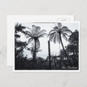 Fern-Baumwald, Natur, Neuseeland Postkarte (Vorne/Hinten)