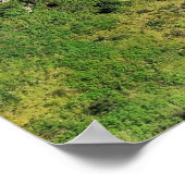 Fern Bern Hut Poster (Ecke)