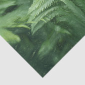 Fern Blätter Botanische Vegetation Seidenpapier (Ausschnitt)