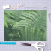 Fern Blätter Botanische Vegetation Seidenpapier (Handwerk)