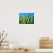 FERN Blätter Kunstdrucke Gerahmte Kunstwerke Green Poster (Küche)