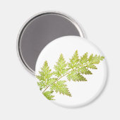 Fern-Blätter Magnet (Vorderseite/Rückseite)