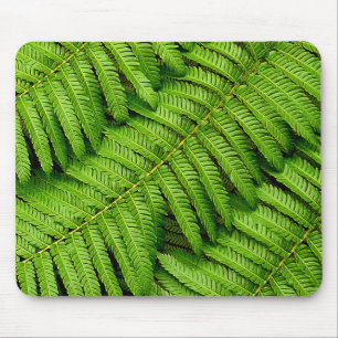 Fern-Blätter Mousepad