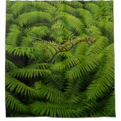 Fern Blätter Portrait Duschvorhang (Vorderseite)