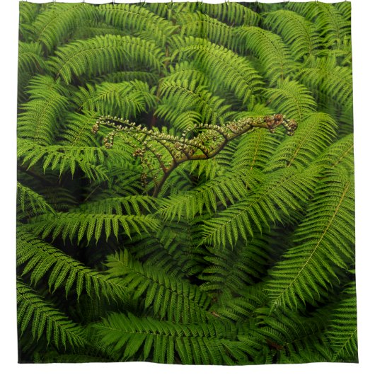 Fern Blätter Portrait Duschvorhang (Vorderseite)