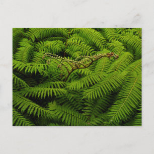 Fern Blätter Portrait Feiertagspostkarte