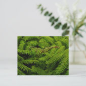 Fern Blätter Portrait Feiertagspostkarte (Stehend Vorderseite)