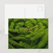 Fern Blätter Portrait Feiertagspostkarte (Vorne/Hinten)
