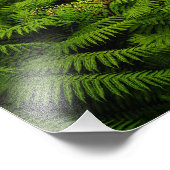 Fern Blätter Portrait Fotodruck (Ecke)